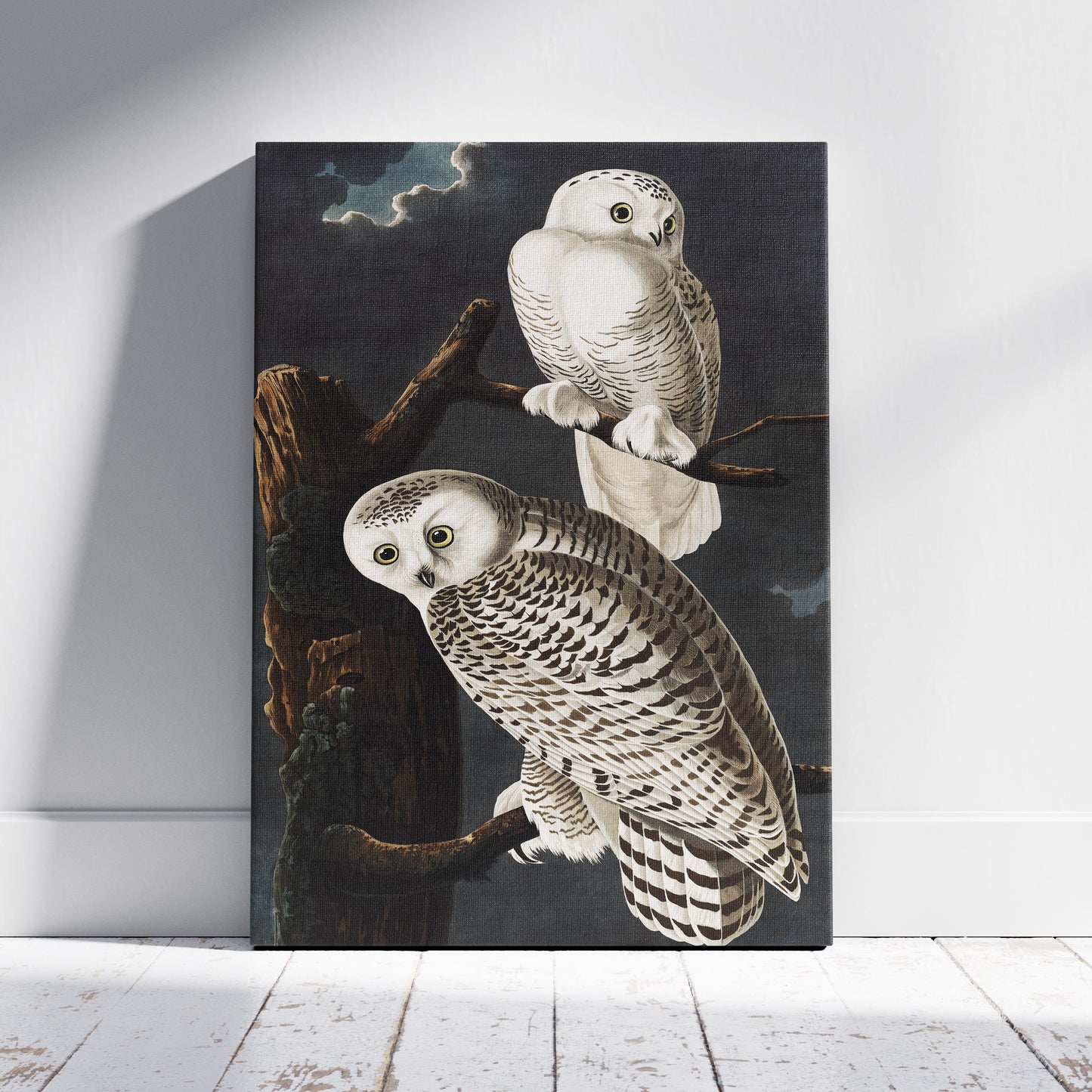 Snowy Owl from Birds of America - John James Audubon - Framed Canvas Wall Art Print-0