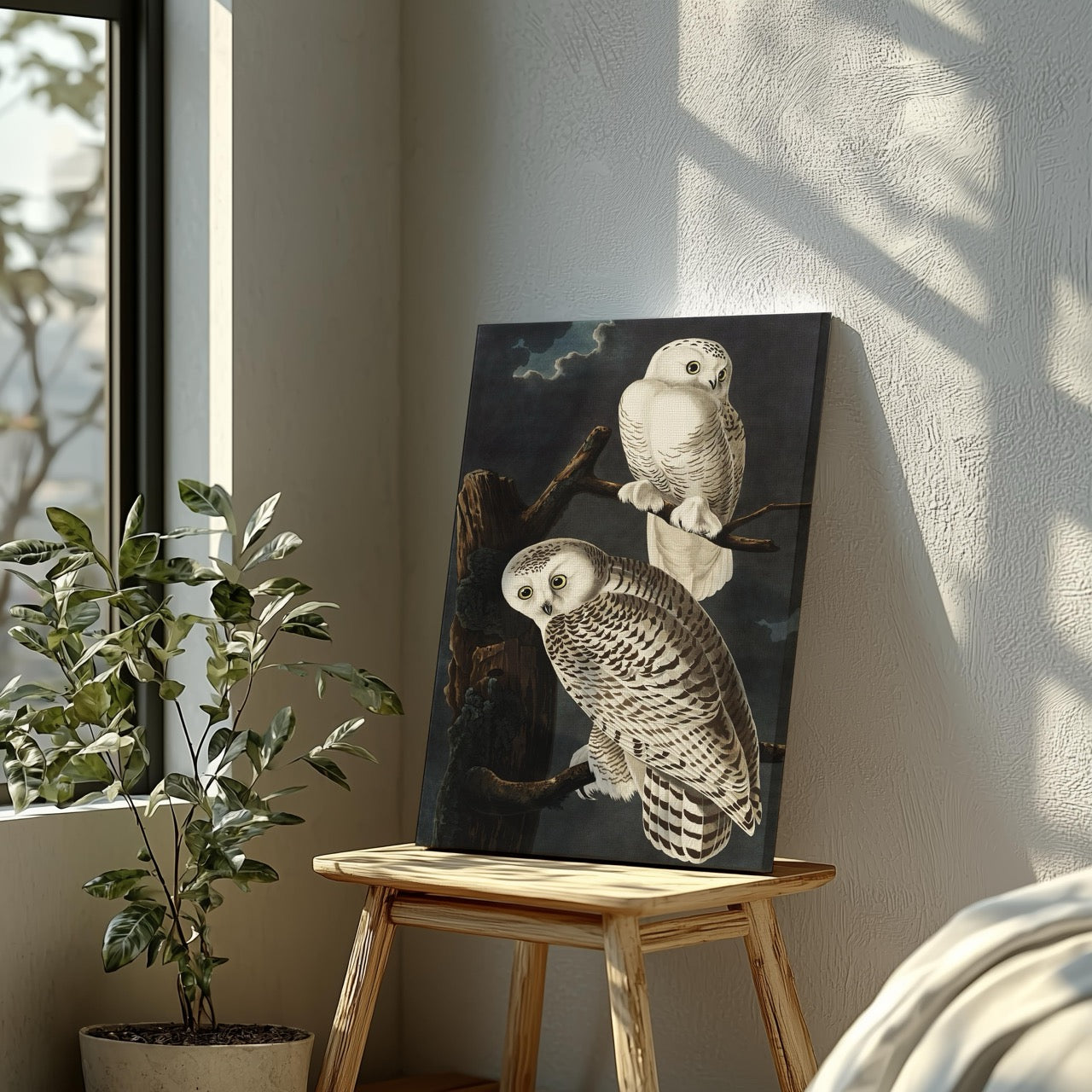Snowy Owl from Birds of America - John James Audubon - Framed Canvas Wall Art Print-3